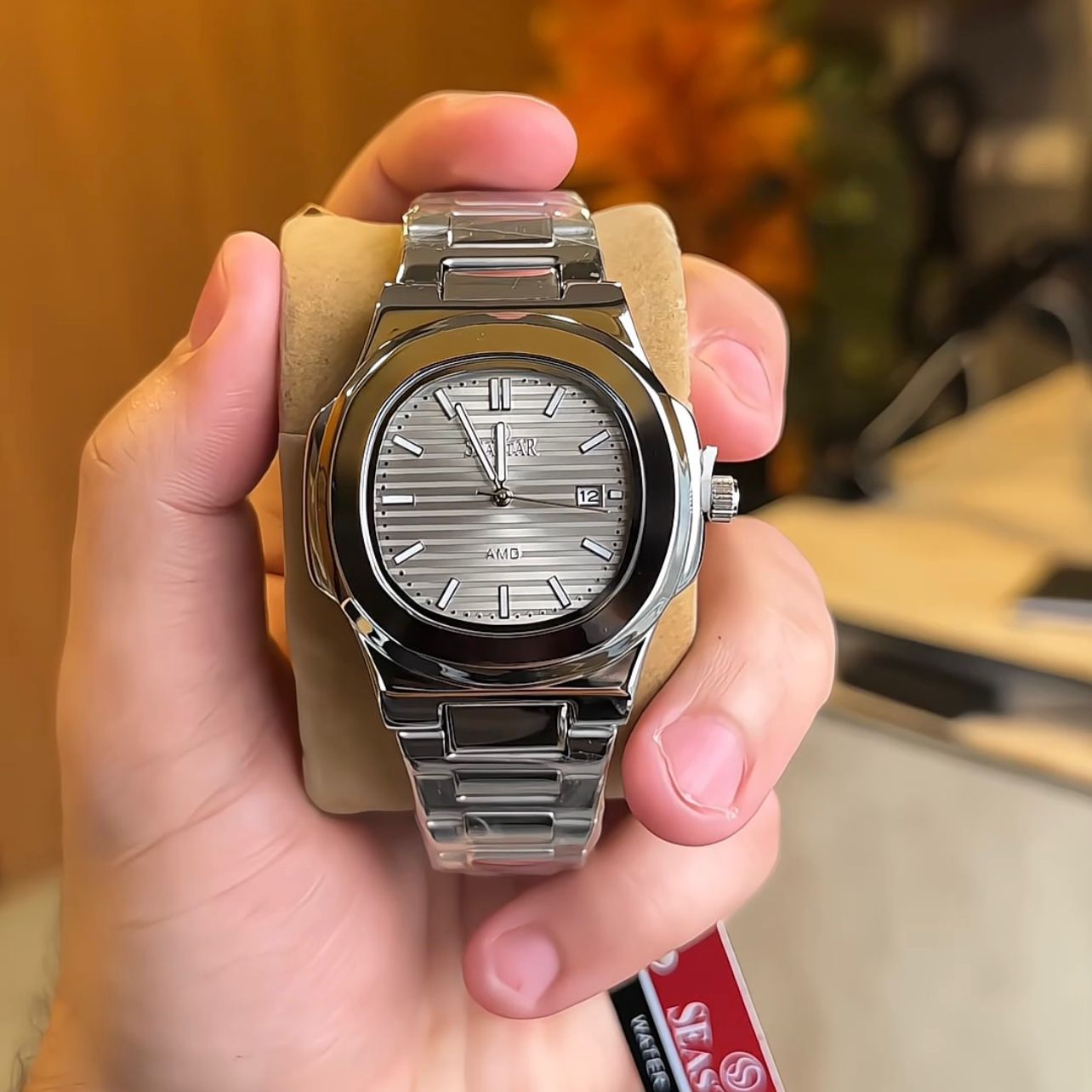Stainless Steel PP Watch